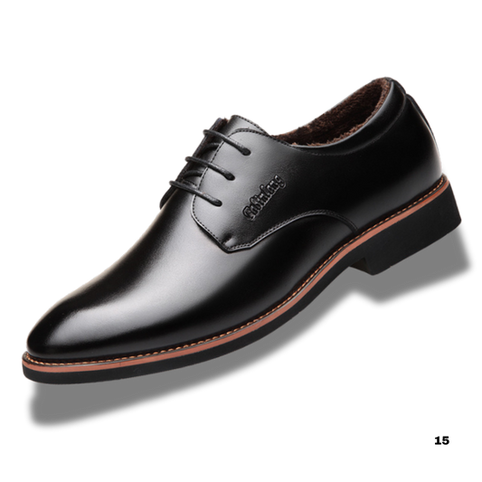 Men's Classic Leather Shoes