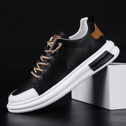 Men's Classic Casual Leather Shoes